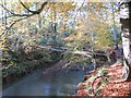 Alternative "Footbridge" across the Seaton Burn