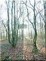 Water Tower at Trent Park Enfield North London