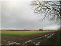 View towards Coleby from Linga Lane