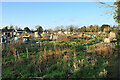 Allotments in Dorchester