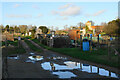 Allotments in Dorchester