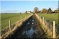 Muddy path near Bridge End