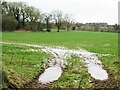 Cold and wet pasture land