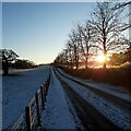 Winter sunset, Hamilton High Parks