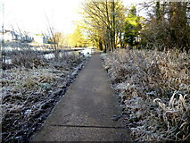 H4772 : Frosty path, Cranny by Kenneth  Allen