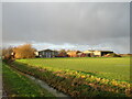 Bassingham Low Fields Farm