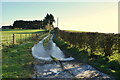 Water-logged lane with ice, Bracky