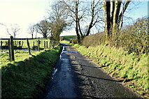 H5572 : Stoneleigh Road, Bracky by Kenneth  Allen