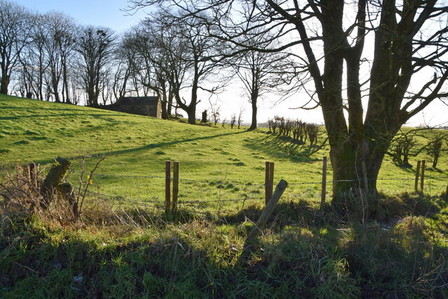 Countryside at Bracky
