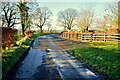 Frosty along Roeglen Road