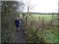 Footpath above the Severn near Shrewsbury