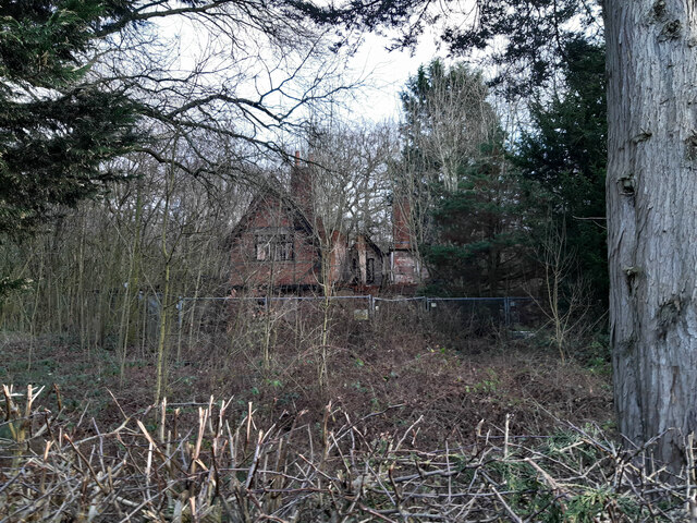 Ruins of Spring Wood Cottage