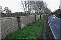 Stone wall lining Brightwell Vineyard