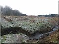 Lochty Burn in winter