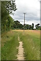 Footpath along field boundary