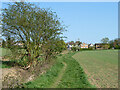 Footpath Billericay 11