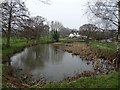 Frozen pond