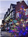 SO6775 : Christmas tree along Cleobury Mortimer High Street by Mat Fascione
