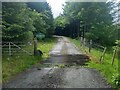 The entrance to Eynort Forest