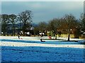 SE2335 : Sledging in Bramley Park by Stephen Craven