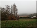 Looking across the Wickham Valley in the fog