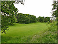 Open space alongside the Deeside Way, Mannofield 