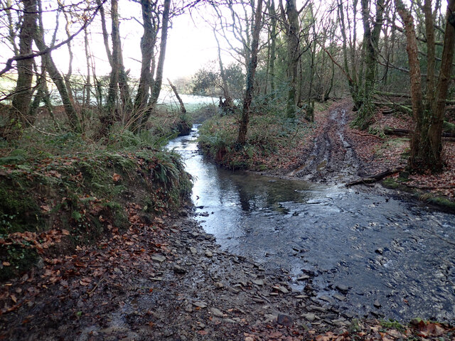 Ford in Middlefields Wood