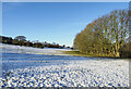 Weardale Way at edge of snowed field