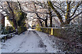 Lane off Bradford and Heckmondwike Road, Bradford