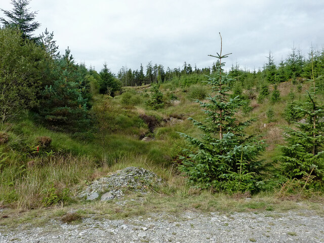 Tywi Forest by Nant Bir north-west of... © Roger D Kidd :: Geograph ...