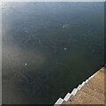 J5082 : Frozen sea, Bangor by Rossographer