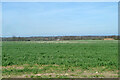 Farmland north of Skreens Park Road