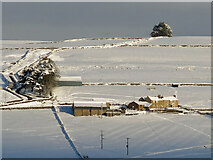 NY8456 : Snowy pastures around Moorhouse Gate by Mike Quinn