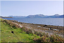 NM8853 : Shoreline of Loch Linnhe, Kingairloch by Richard Webb