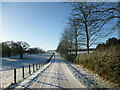 Road to High Parks Farm, Hamilton