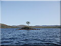 NM6751 : Eilean nan Eun, Loch Arienas by Richard Webb