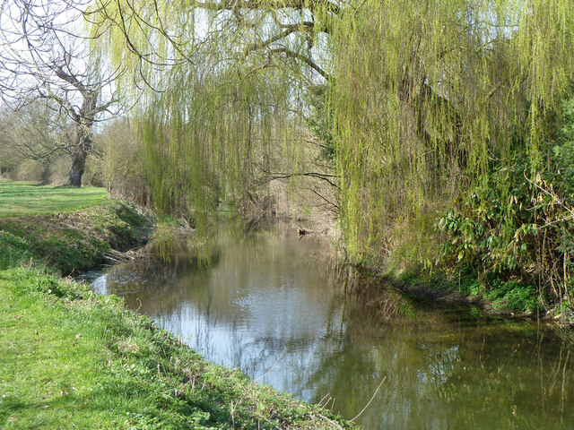 River Can, Chelmsford © Robin Webster cc-by-sa/2.0 :: Geograph Britain ...