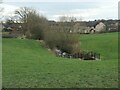 Balne Beck, near Pear Tree Walk