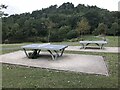 SJ8848 : Outdoor table tennis at Central Forest Park by Jonathan Hutchins