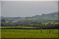 Braunton : Grassy Field