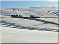 Newfold House in the snow