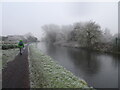 Misty Canal