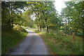 Road in Glen Fincastle