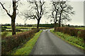 Slight bend along Cranmore Road