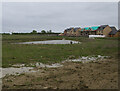 Pond by Linden site, Northstowe