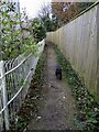 Footpath by Bagley Wood Road