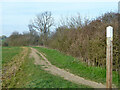 Footpath Boreham 34 towards Boreham