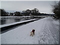 Towards Tomnahurich Swing Bridge on Caledonian Canal