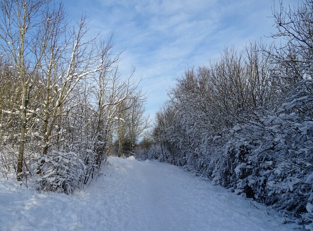 Snowy scene on the railway path