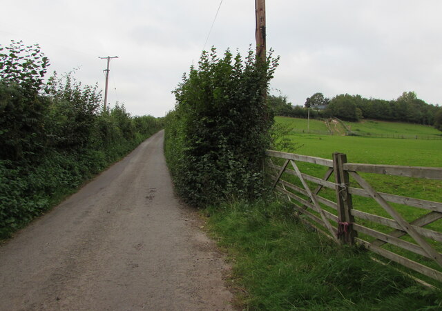 Wooden field gates near Llanddewi Rhydderch, Monmouthshire